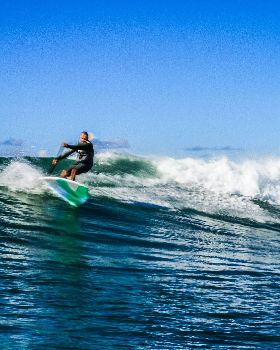 Scotts comp-251