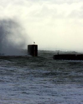 40 50 knots
