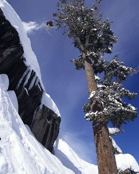 Chuck-P-Conice-2-tree-Master-682x1024