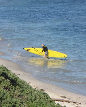 Stand Up Paddle