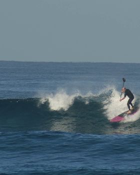 DSC02225