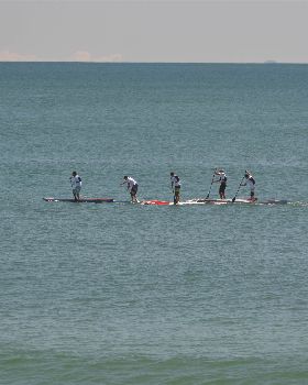 Stand Up Paddle