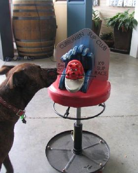 10485920 777145149012782 3729121230021307497 n