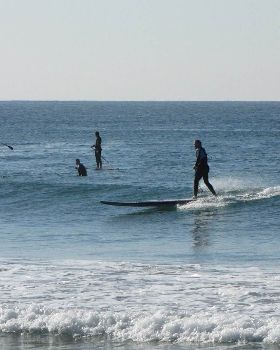 Stand Up Paddle