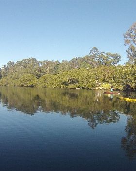 Winter's Morning Paddle