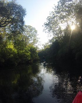 Winter's Morning Paddle