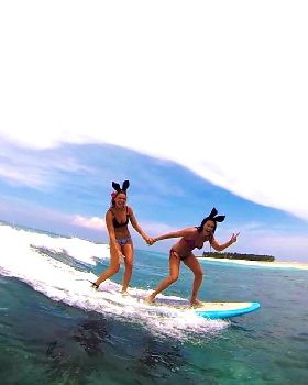 surf bunnies on board