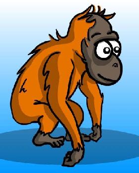 OrangutanLg