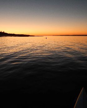 Stand Up Paddle