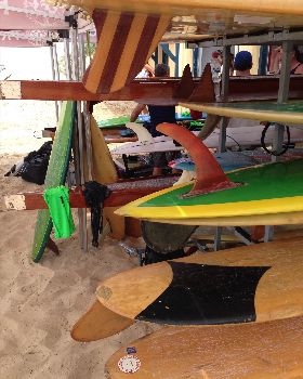 Old fins