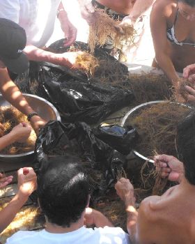 63. OGO = Seaweed