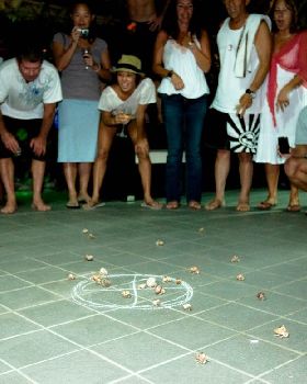 57. Hermit Crab Racing