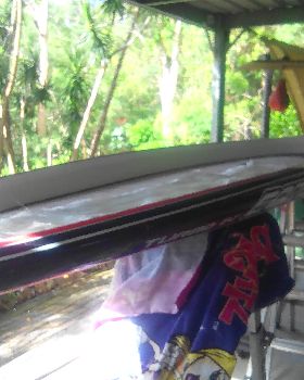 Stand Up Paddle