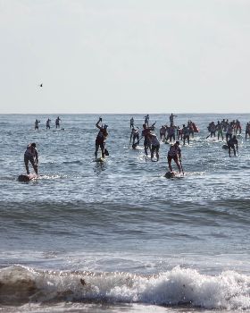 Stand Up Paddle