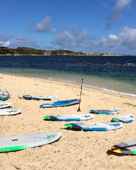 Starboard Demo Day