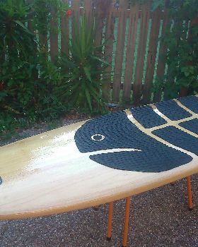 Stand Up Paddle