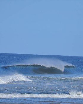 SURF