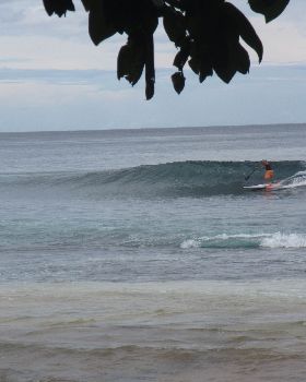 Stand Up Paddle