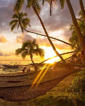 sunset mini