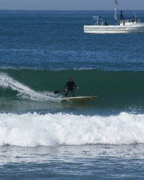 Sydney 0415 277