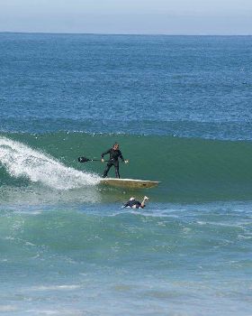 Sydney 0415 398