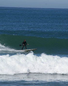 Sydney 0415 497