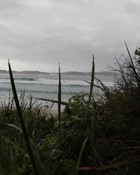 Denmark WA State round