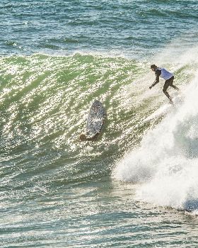 Scotts comp-184