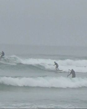 Stand Up Paddle