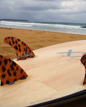 acidbeach3