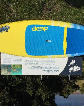 Deep 'JackoPop'