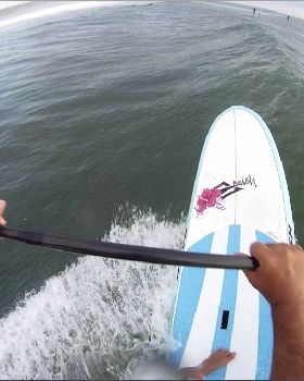 Stand Up Paddle