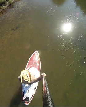 Stand Up Paddle