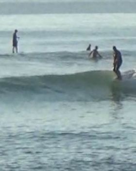 Stand Up Paddle