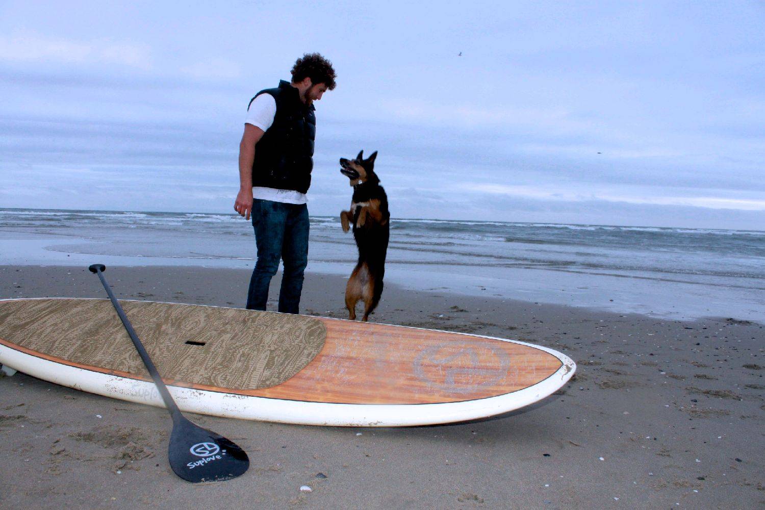 -stand-up-paddle-race-board-stand-up-paddle-yoga-stand-up-paddle-aminals-stand-up-paddle-dog-puppies