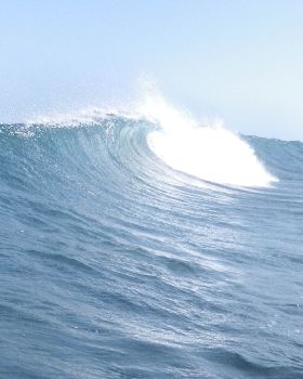 Surfing