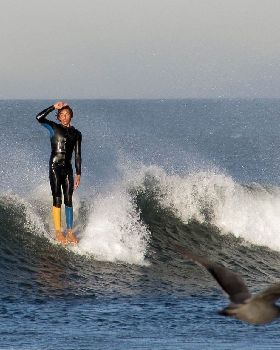 Surfing
