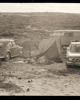 Cactus camping