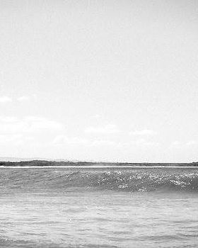 262508-surfing-photo
