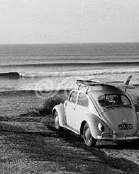 vw surf