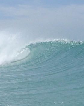Surfing