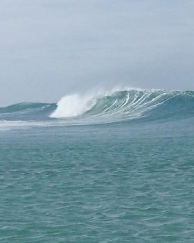 Surfing