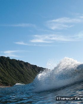 longboard4
