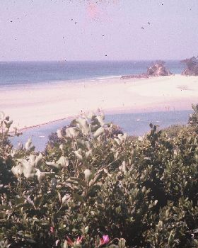 D049657-R1-40-40