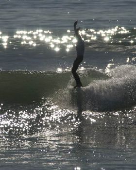 2.SURFER-SanO copy 2