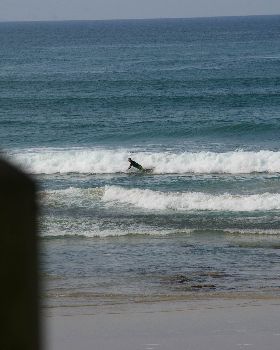 Surfing