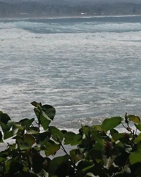 Surfing