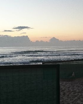 Surfing