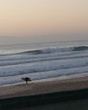 Surfing