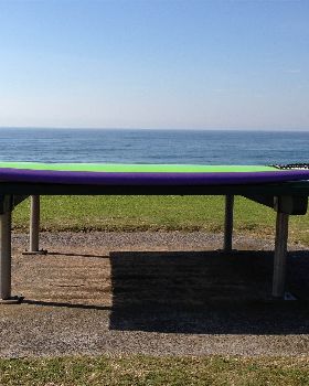 Purple & fins 010